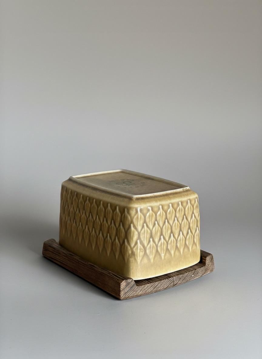 Jens H. Quistgaard "Relief" Butter Dish — Kronjyden / Bing & Grøndahl — Danish 1957 __etsy:8125792973